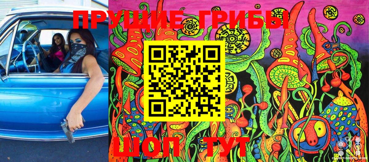 Галлюциногенные грибы Cubensis  Вход с VPN  Кашира  Галлюциногенные грибы мицелий 