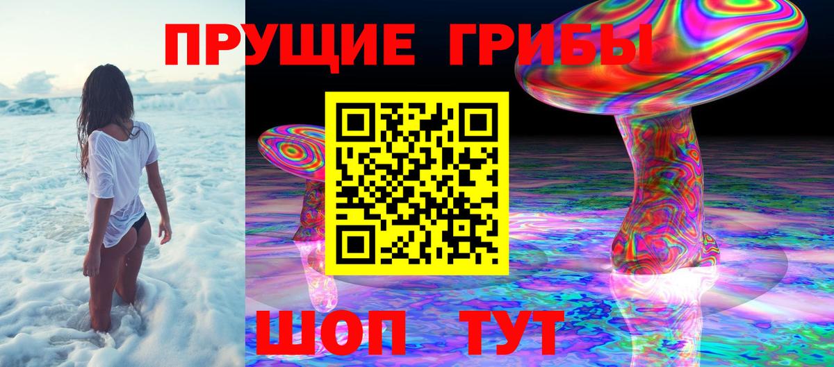 Галлюциногенные грибы MAGIC MUSHROOMS Кашира